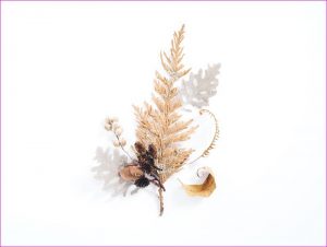 removebackground-from-image---photolixa