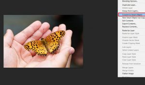 How to resize a layer in Photoshop