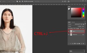Step 5 Copy the Selected area.